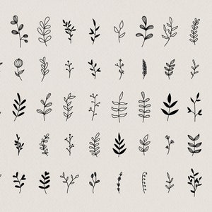 50 Hand Drawn Botanical Element, Floral Design Kit for Logo Design or Stationary, Leaf Twig Branch Clip Art Instant Download, Branding Kit image 2