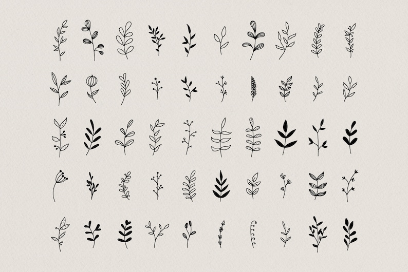 50 Hand Drawn Botanical Element, Floral Design Kit for Logo Design or Stationary, Leaf Twig Branch Clip Art Instant Download, Branding Kit image 2