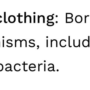 May include: Text explaining that borax disinfects clothing by inhibiting organisms like fungi, mold, and bacteria.