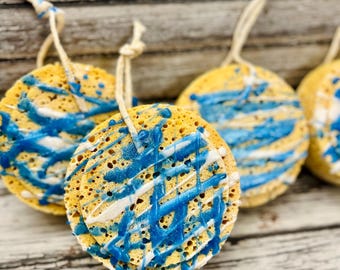 Soap Sponge