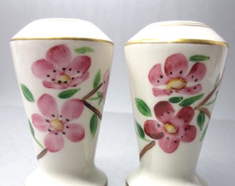 Vintage 40s 50s Hardesty China Floral Salt & Pepper Shakers Hand Painted Porcelain USA Cottagecore