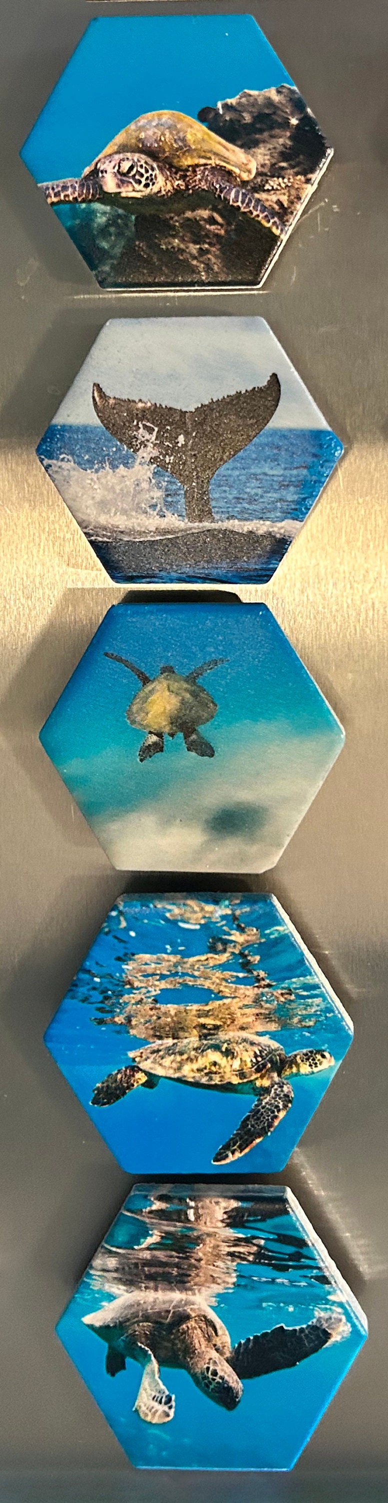 Set of 5 Ocean Themed Magnets - Save Our Seas - Maui - Etsy