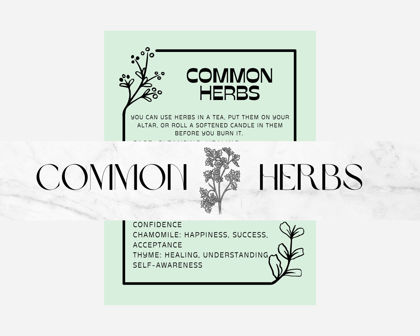 Common Herbs, Printable Grimoire Page Green - Etsy