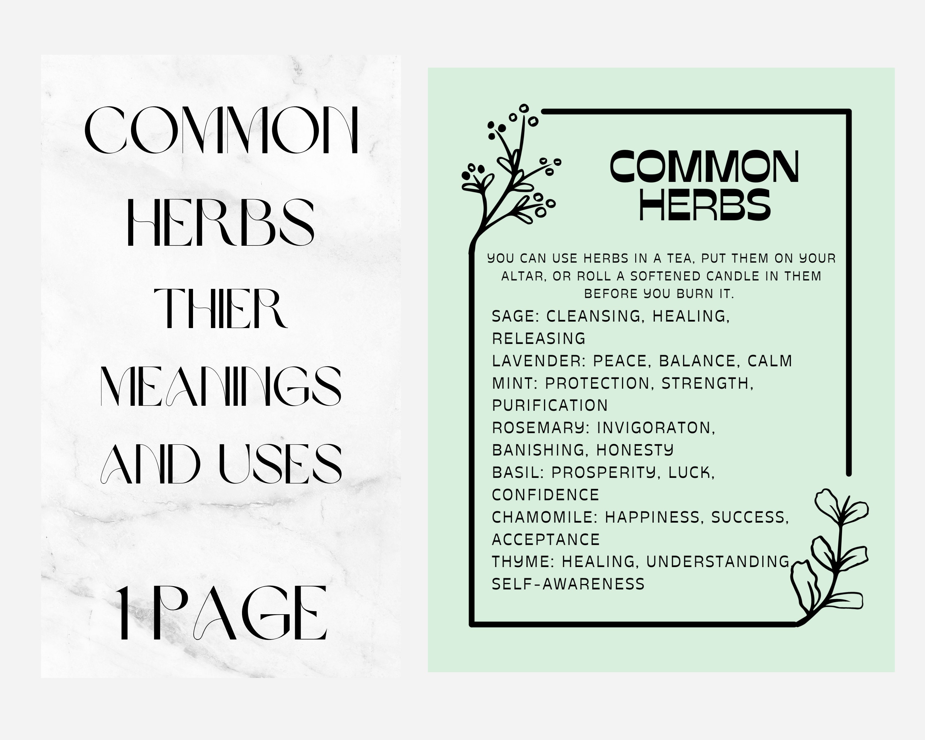 Common Herbs, Printable Grimoire Page Green - Etsy