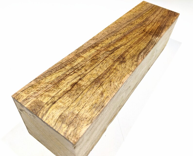 Curly Mango Mangifera indica 3 x 3 x 12 Etsy