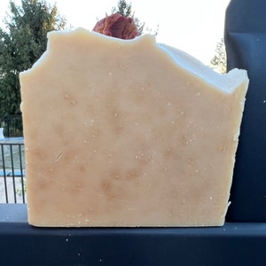 Organic Camel Milk & Organic Poutcholi Oil Soap