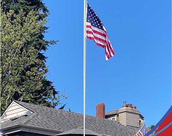 Mástil de bandera seccional Delta de 20 pies (plateado)