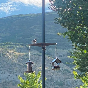 May include: A black metal bird feeder with a brown roof hangs from a pole with a red, white, and blue flag. A bird is perched on a platform above the feeder.