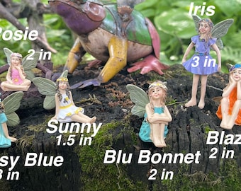 May include: A collection of fairy figurines, each with delicate wings and detailed clothing. The fairies, named Rosie, Sunny, Daisy Blue, Blu Bonnet, Iris, and Blaze, range in size from 1.5 to 3 inches. A colorful frog statue is also present.