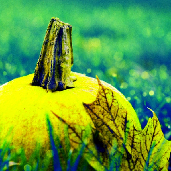 Yellow Pumpkin Wall Art/ Fall Decoration/ Digital Download/ Instant Art