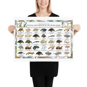 Statliga reptiler i USA, herpetologi affischtryck konst, reptilödla alligatorsköldpadda vetenskaplig affischtryck 18×24 inches