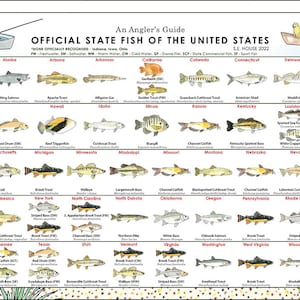 State Fish of the United States Poster, Fish Chart, Fish Field Guide, Fish Identification Poster, Fish Species Classification, Ichthyology