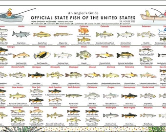Affisch med USA:s delstatsfiskar, fiskdiagram, fältguide för fisk, affisch för fiskidentifiering, klassificering av fiskarter, iktyologi