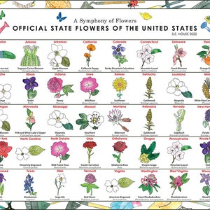 State Flowers Poster, Flowers of North America, Flowers of the United States, Flower Identification Classroom Poster, Flower Field Guide