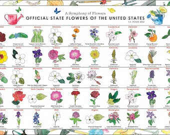Statliga blommor, Nordamerikas blommor, USA:s blommor, Klassrumsaffisch för blomidentifiering, Blomfältguide