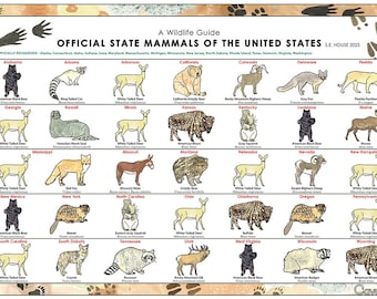 State Mammals of the United States Poster, United States Wildlife Guide, State Symbol Poster, Mammals Field Guide, Mammals Identification