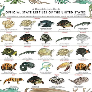 State Reptiles of the United States Herpetology Poster Print - Etsy