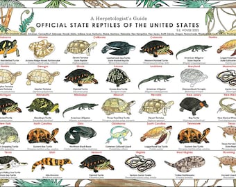 State Reptiles of the United States, Herpetology Poster Print Art, Reptile Lizard Alligator Turtle Scientific Poster Print