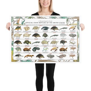 Statliga reptiler i USA, herpetologi affischtryck konst, reptilödla alligatorsköldpadda vetenskaplig affischtryck 24×36 inches