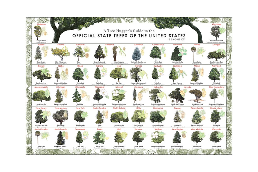 Trees of North America, State Trees of the United States, Tree