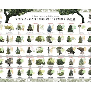 Trees of North America, State Trees of the United States, Tree Identification Poster, Environmental Tree Poster, Tree Leaves Field Guide