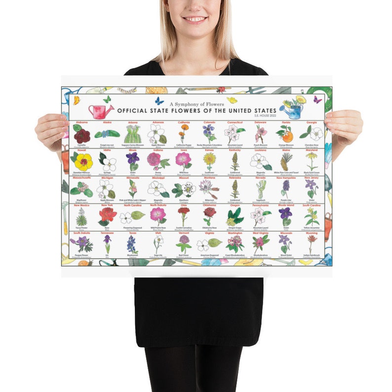 State Flowers Poster, Flowers of North America, Flowers of the United