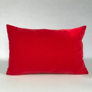 May include: A bright red rectangular pillow with a soft velvet texture.