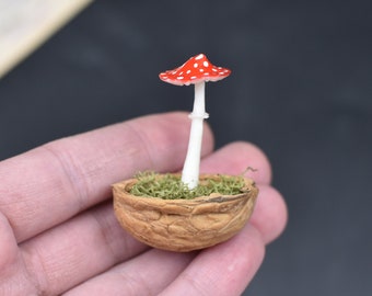 Può includere: Un fungo in miniatura rosso e bianco con macchie bianche che cresce da un piccolo guscio di noce pieno di muschio verde.