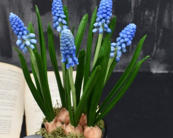 Muscari clay flowers Cold porcelain Spring arrangement Real touch muscari Muscari for Gift Botanical sculpture artificial muscari bouquet