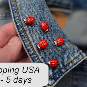 Ladybug pin Realistic ladybird Ladybug miniature brooch clay ladybug little ladybug Valentines day gift Ladybug jewelry Spring jewelry