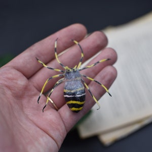 Spider pin Spider miniature brooch Realistic Spider clay Spider  little Spider Halloween spider Valentines day gift