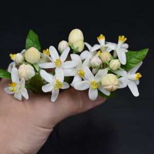 Orange blossom pin Bloming tangerine hair accessories Floral hair pins White wedding hair pins Bridesmaid hairpin Small flower Set hairpins image 1