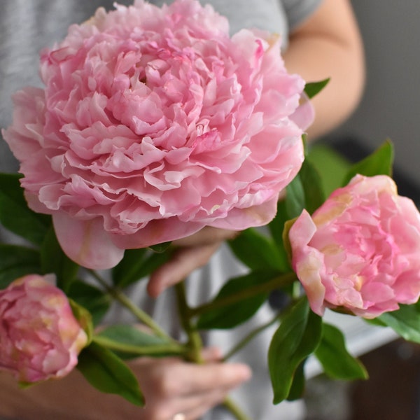 Rose pivoine en porcelaine froide Pivoine en argile Fleurs en porcelaine Fleur en céramique Fleurs en argile Pivoine réaliste Bouquet de pivoines Cadeau pour maman