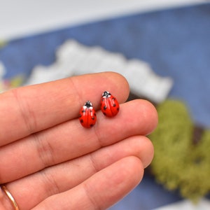 Ladybug earrings Ladybug miniature earrings Realistic ladybird clay ladybug little ladybug Valentines day gift Stud Earrings Ceramic ladybug