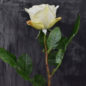 White Rose Porcelain flowers Clay roses Botanical flowers Gifts women&#39;s Decor kitchen Artificial flowers clay Cold porcelain flowers clay