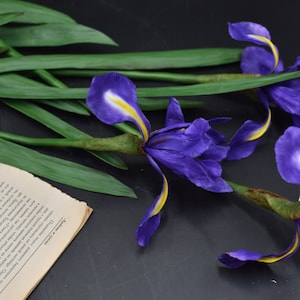 Irises Cold porcelain flower Porcelain flowers for interior Real touch flowers Artificial Irises Botanical sculpture Rustic Wildflower