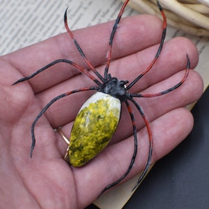 Spider pin Spider miniature brooch Realistic Spider clay Spiders little Spider Halloween spider Valentines day gift Porcelain spider