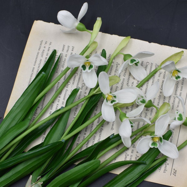 Perce-neige fleurs en porcelaine froide Perce-neige pour cadeau Perce-neige au toucher réel Sculpture botanique Perce-neige artificiels Arrangement printanier Ikebana