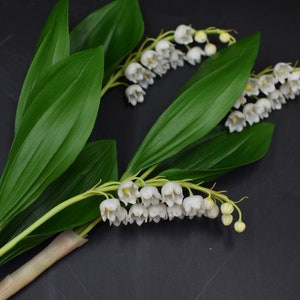 Lily of the valley Forest flowers Spring flowers Spring bouquet Real touch flowers Flowers Artificial flowers Valentines day gift for wife