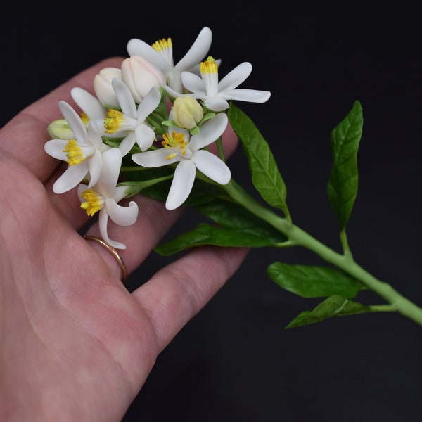 Branches d'oranger Mandarine en fleurs blanches Fleurs d'agrumes Fleurs en porcelaine froide Fleurs au toucher réel Sculpture botanique Bouquet de fleurs