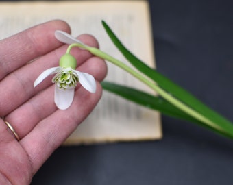 Bucaneve in porcellana fredda: scultura botanica al tatto reale Prezzo 1 pezzo