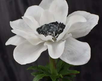 White Anemone Flower: Cold Porcelain Botanical Sculpture