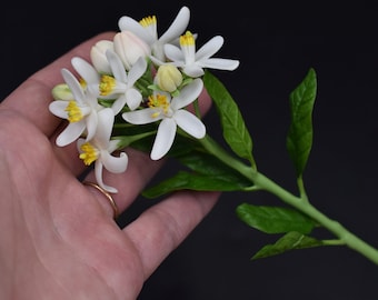 Cold Porcelain Orange Blossom Branch: Handmade Botanical Sculpture