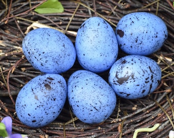 Huevo de petirrojo pintado a mano: decoración de Pascua azul (4 cm) Precio por huevo