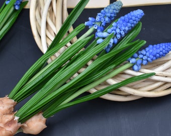 Muscari cold porcelain flowers Muscari for Gift Real touch muscari botanical sculpture artificial muscari spring arrangement, clay flowers