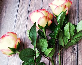 May include: Four yellow roses with pink edges and green leaves on a wooden background. The roses are arranged in a bouquet and the stems are visible. The text "VALENTINA PRUS" is visible in the lower right corner of the image.