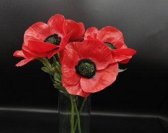 May include: A bouquet of red poppy flowers with black centers in a clear glass vase against a black background.