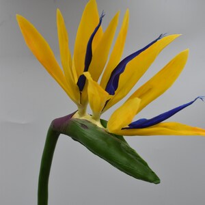 Strelitzia Ton Strelitzia Kaltporzellan Gelber Paradiesvogel Mandelas Gold Strelitzia Strelitzia handgemachte Keramik Blumen