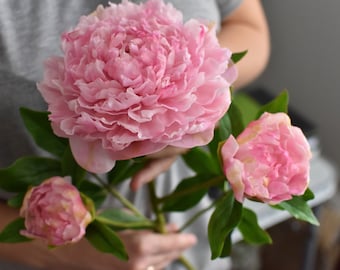 Peony pink from cold porcelain Clay peony Porcelain flowers Ceramic flower Clay flowers Realistic peony Bouquet of peonies Gift for mom