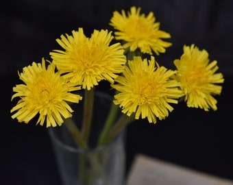 Dandelion Cold Porcelain Artificial Dandelion Handmade Flowers Botanical sculpture Bright dandelions Yellow flowers Wild flower clay